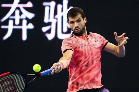 grigor dimitrov mirror